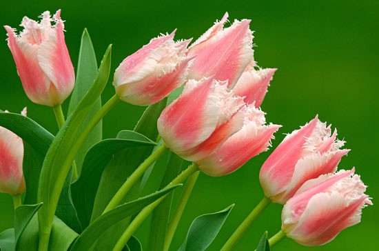 Những ý tưởng kiếm tiền triệu đô ảnh 9